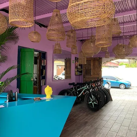 Ocote Hostal